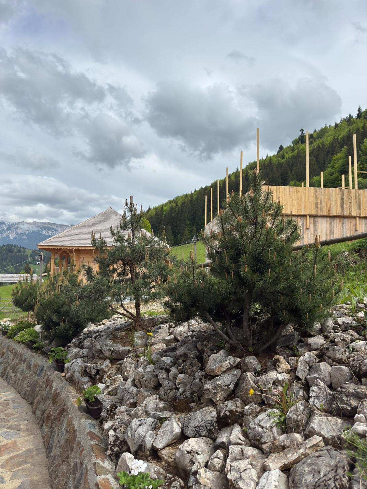 Andolia Villa Moeciu De Sus Exterior photo